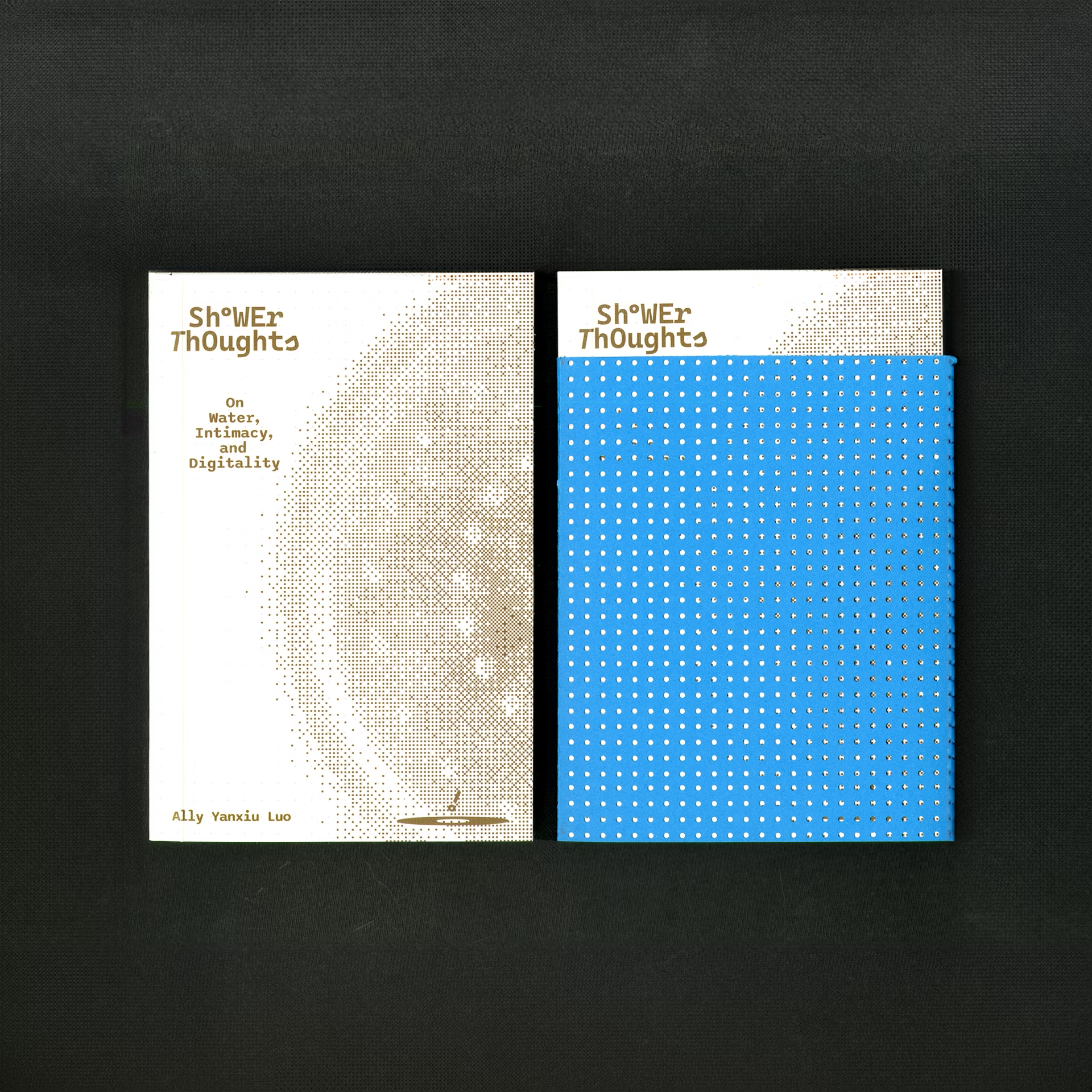 Cover image of the book Shower Thoughts