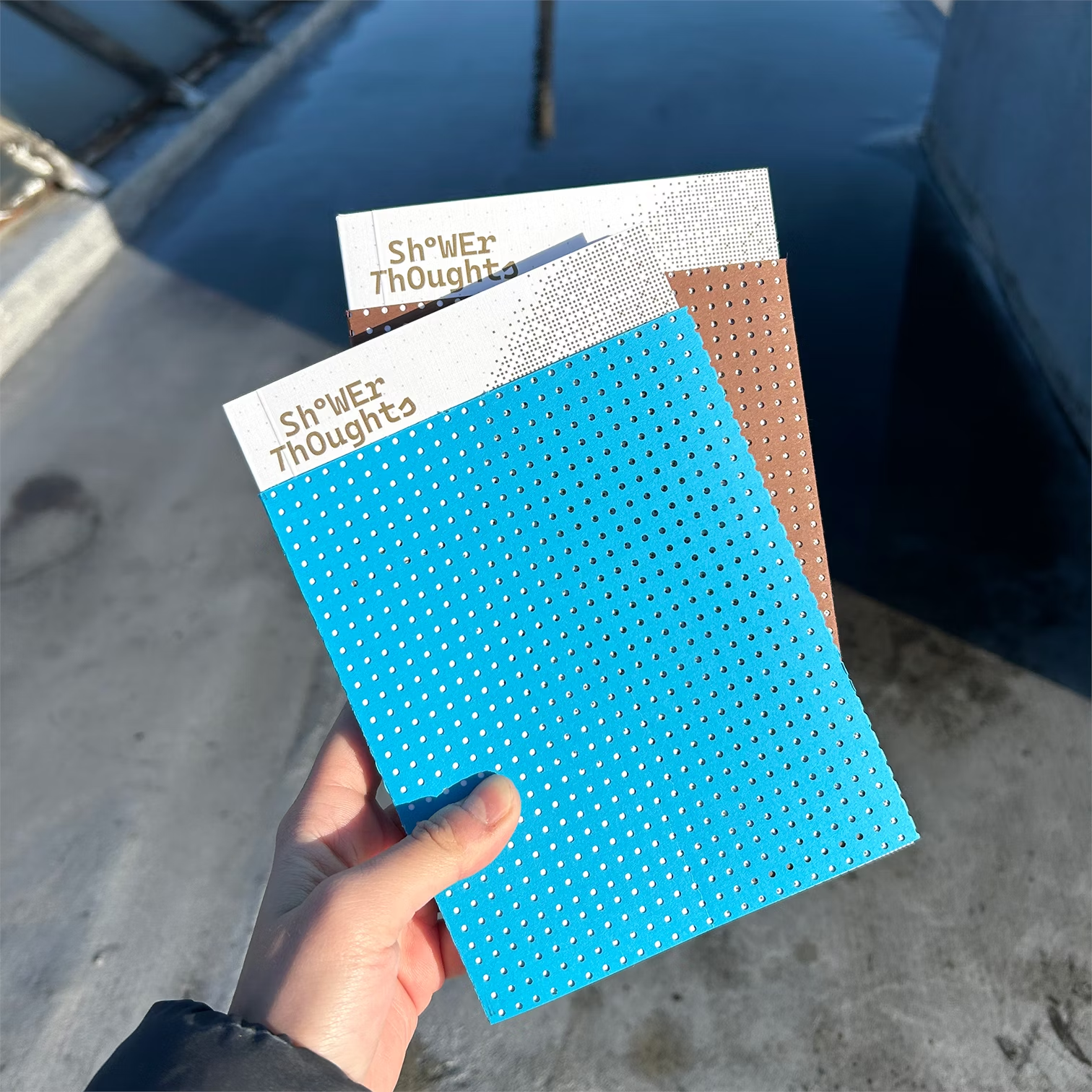 Image of the book Shower Thoughts