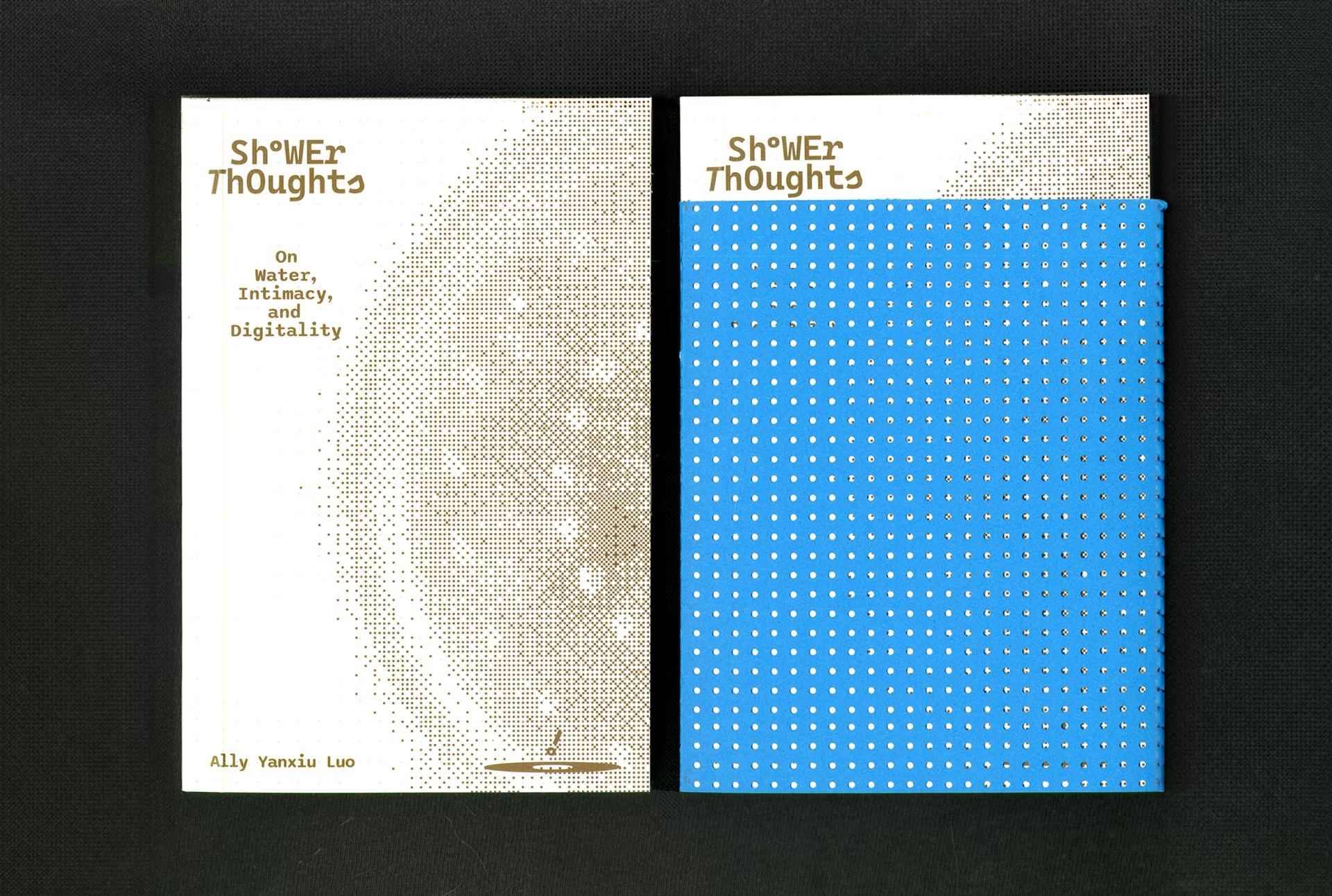 Image of a book called Shower Thoughts