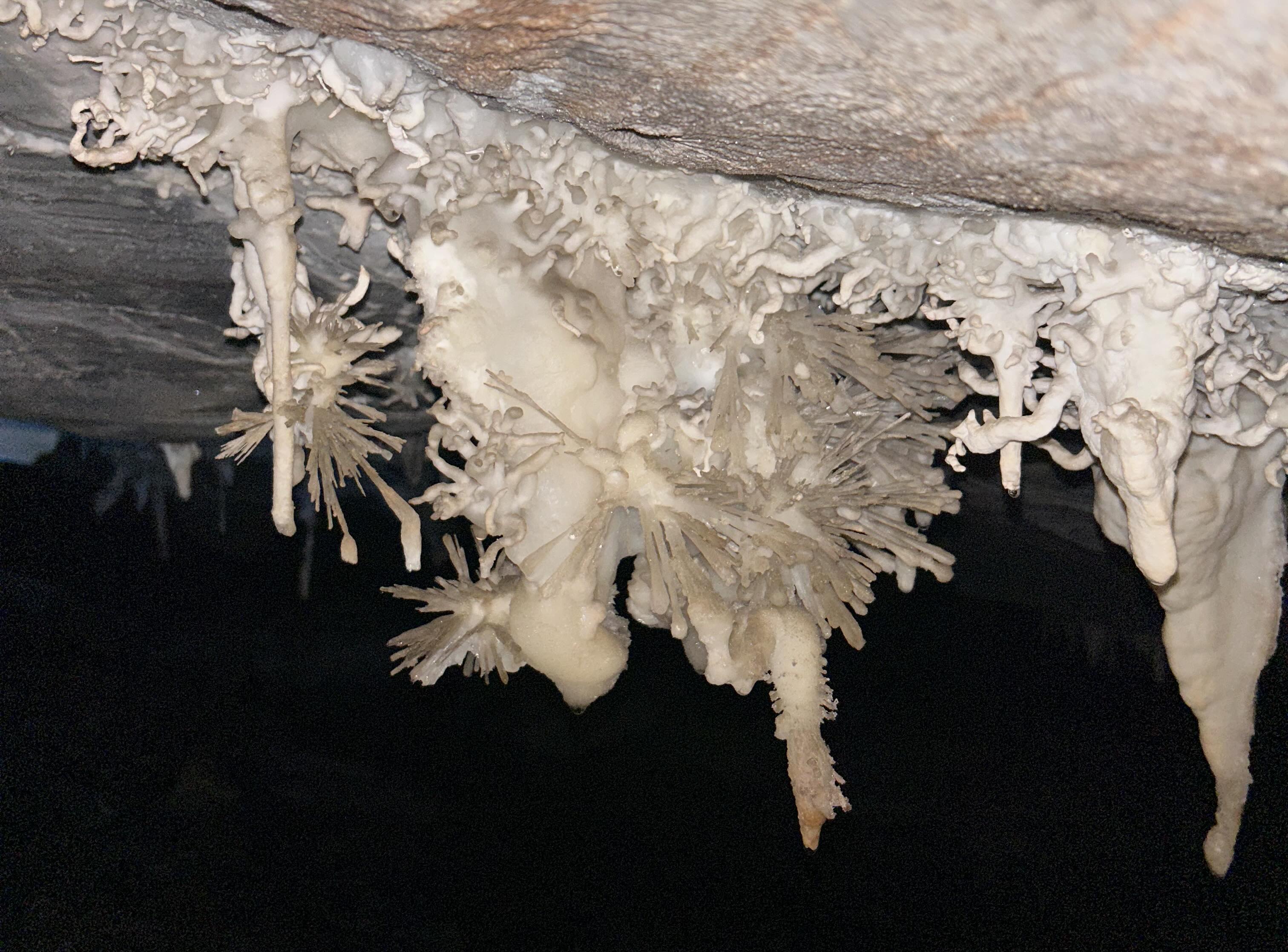 An image of crystals in a cave.